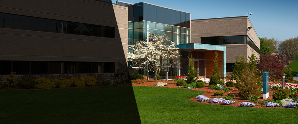 Mansfield Landscapers